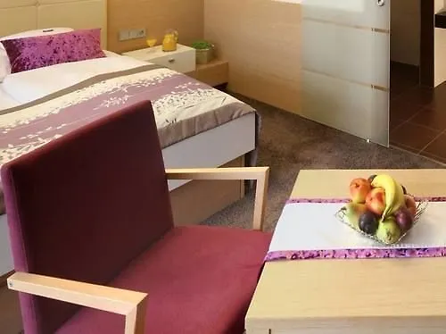 Hotel Lenauhof Bad Birnbach 3*,
