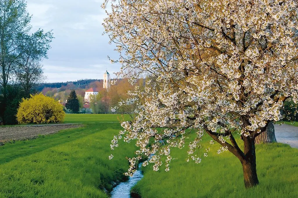 Hotel Lenauhof Bad Birnbach